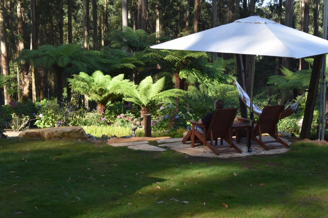 Fern Falls Cottages - Garden Cottage Mount Dandenong Eksteriør billede