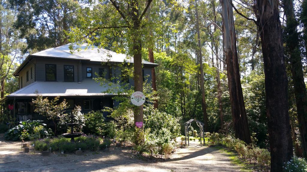 Fern Falls Cottages - Garden Cottage Mount Dandenong Eksteriør billede